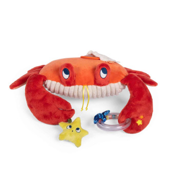 Grand crabe d'activités -...